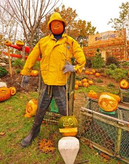 The Camp Sunshine Pumpkin Festival on Oct. 29 in Freeport, Maine, raised $50,000 to support children with life-threatening illnesses and their families.