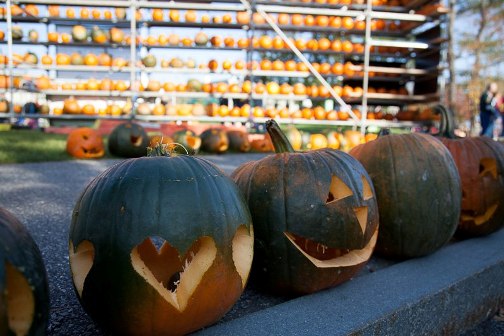 The 2012 Camp Sunshine Pumpkin Festival featured 7,658 lit jack-o-lanterns and raised $80,175 to help sick children and their families