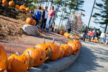 The 2012 Camp Sunshine Pumpkin Festival featured 7,658 lit jack-o-lanterns and raised $80,175 to help sick children and their families