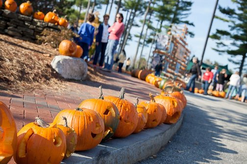 The 2012 Camp Sunshine Pumpkin Festival featured 7,658 lit jack-o-lanterns and raised $80,175 to help sick children and their families