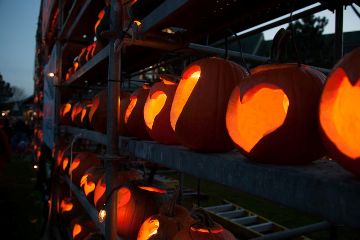 The 2012 Camp Sunshine Pumpkin Festival featured 7,658 lit jack-o-lanterns and raised $80,175 to help sick children and their families