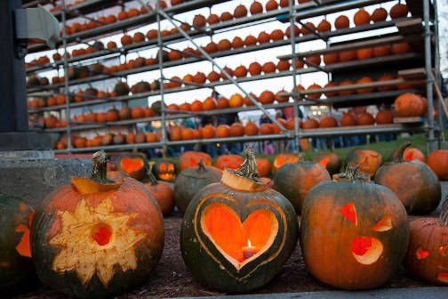 The 2012 Camp Sunshine Pumpkin Festival featured 7,658 lit jack-o-lanterns and raised $80,175 to help sick children and their families