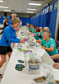 TD Beach to Beacon 10K Road Race looking for volunteers for Aug. 2 event in Cape Elizabeth, Maine.